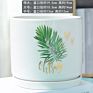 Ins Matte Glazed Ceramic Planter Pot with Saucer Modern round Decor Indoor Planter with Drainage Hole for Plants