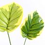 Acrylic Artificial Plant