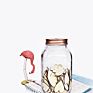 32Oz Glass Mason Jar with 70Mm Coin Bank Lids for Gift