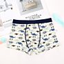 3Pcs/Box Gift Packed Dinosaur Children's Underwear Boy Boxer Shorts Kids Underwear for Kids