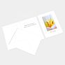 5X7 Gold Foil Flower Plain Sympathy Greeting Card and Envelopes