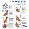 Adjustable Walking Running No Pull Nylon Dog Harness