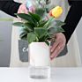 Arrivals Self Watering Pot Planter Pot Self Watering Plant Pots For