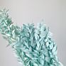 Artificial Green Ruscus Dried Flower Italian Ruscus Greenery Garland Ruscus Leaves for Decor