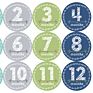 Baby 12 Monthly Photo Props Pregnant Woman Commemorative Sticker Baby Milestone Stickers for Girl or Boy Infant Onesie