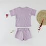 Boutique Kids Fashionable Solid Color Baby Lounge Set Cotton Two Pieces Short Set Kids Longewear Set