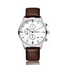 Business Men's Simple Style Quartz Watch Watch