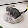 Cat Bed Long Plush Soft Pet Bed Warm Cat Sleeping Bag Bed Fleece Washable Cat Bedding