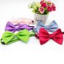 Cat Bows Pet Accessories Puppy Print Solid Dog Bow Collar