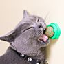 Cats Rotatable Catnip Ballcatnip Wall Lick Treat Toys for Cats Cat Mint Ball