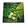 Preserved Moss