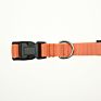 Customize Collar Dog Premium Nylon Webbing Dog Collar