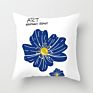 Customized Abstract Pillow Cover Throw Pillow Case Cushion Cover Collections for Home Decor