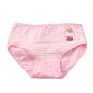 Customized Fancy Children's Underwear Young Little Young Teen School Girl Panties