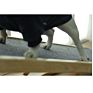 Customized Height Adjustable Wood Dog Ramp Foldable Pet Stairs Parra Perros Wooden Fold Car Pet Dog Ramps