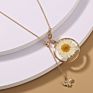 Customized Long Gold Chain Tassel Pendant Choker Adjustable Clasp Resin Pressed Dried Flowers Daisy Jewelry Necklace