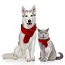 Cute Creative Pet Knitted Christmas Scarf Decoration Cat Scarf