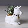 Creative ceramic Mini Flowerpot