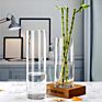 Cylinder Glass Flower Vase for Home Decor