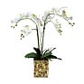 Design Artificial in Pot Uk Phalaenopsis Orchid Silk Flower