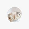 Design Plastic Interactive Ball Toy Bed