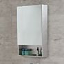 Design Stainless Steel Wall Mounted Bathroom Mirror Cabinet