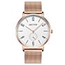 Dg001 Dectop Promotion Stainless Steel Back Mesh Band Silver Men Thin Watch