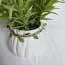 Direct Simulation Grass Small Fresh Desktop Decorative Ornaments