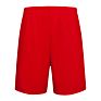 Direct Sport Shorts Polyester Fast Dry Unisex Basketball Shorts Basketball Shorts