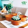 Direct Terracotta Pots Planters 6.1 Inch Cactus Plant Containers Indoor Garden Bonsai Pots with Drainage Hole