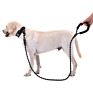 Dog Leash Muti-Color Practical Heavy Strong Duty Big Nylon Material Luxury Dog Leash