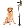 Dog Training Bell Pet Training Out Alarm Bell Rope Guide Dog Doorbell Dog Door Bell