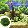 Environmental Green Seaweed Balls Genuine Aquarium Ball Moss Balls Fish Tank Healthy Aquatic Plants Decoration