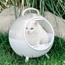 European Market Dog Transport Cage Plastic Handle Pet Carrier on Wheels & Walking Pet Carrier