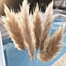 Fcd1017 Decorative Flowers Large Natural Dried Pampas Grass 30 Pcs Bundle
