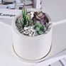 Fine-Price White Modern Nordic Planter round Shape Ceramic Planter for Indoor and Outdoor