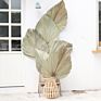 Flora Sell Dried Flower Dried Palm Leaves for Wedding Decoration