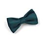 Green Velvet Dog Accessories Luxury Bowtie Collar Dog Bow Tie