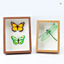 High- Wood-Based Panel 3D Diy Single Photo Wooden Picture Frame Photo Frames for Specimen