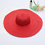 Holiday Sun Rose Red Pink Oversized Straw Hat