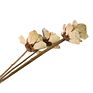 Home Decor Flowers Dried Wood Flower Lotus Flower