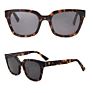 in Stock Unisex Uv400 Sunglasses Acetate Sunglasses