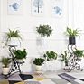 Metal Plant Stand