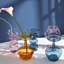 Ins Style Colorful Transparent Glass Hydroponics Plant Arrangement Vase