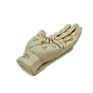 Ivory Painted Palmistry Hand Statue Divination Hand Kit
