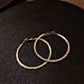 Jewelry 925 Silver Needle Exaggerated Inlaid Diamond Large Ring Earrings Temperament Show Face Thin Personality