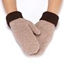 Knitted Warm Mitten Ladies Plush Thick Windproof Cartoon Cute Woolen Mitten