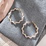 Fashione Earring Jewelry