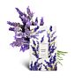 Lavender Sachets for Drawers and Closets, Color with Fresh and Elegant Lavender Aroma, Dried Lavender Flower Sachets