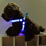 Light for Lovely Pet Dog and Led Safety Lights Led Light up Dog Harness